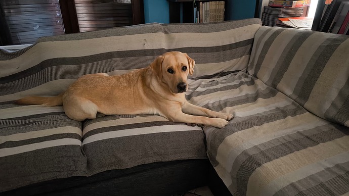 IMG_20251024_104842_3