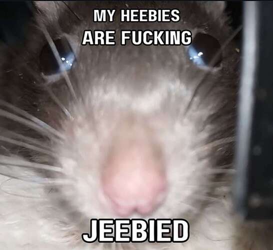 1000022518