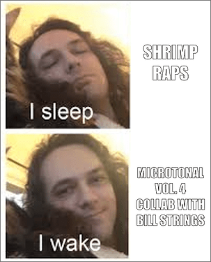 stupidgizzmeme