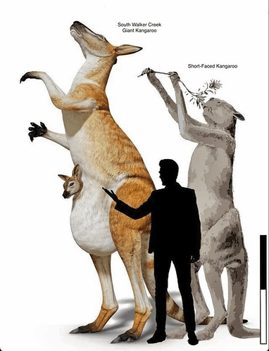 what-lived-in-australia-over-30-000-years-ago-had-two-heads-v0-d1e85dwnc0ye1